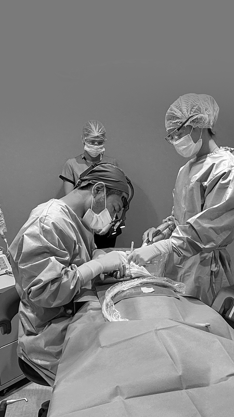 沖縄でトップレベルのインプラント治療を