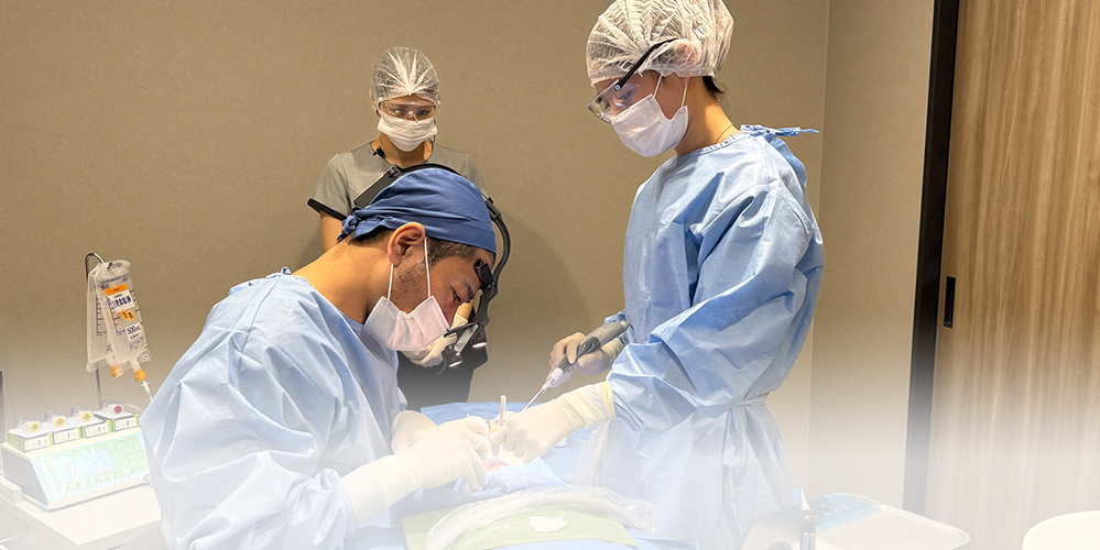 年間平均400本のインプラント治療実績